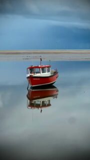 Hello friends,

Over this last year or so, more and more I’ve been thinking about freedom and autonomy in my creative practice, giving myself permission to wander, to experiment, and to choose my own pace and my own way.

After two decades in the arts, this hasn’t always been easy. When I was working on big projects with looming deadlines, there wasn’t space for detours or mistakes. I often had to cling to the materials and processes I knew would behave themselves.

But stepping out of the “shoulds” and returning to what feels true has been deeply liberating: following the wild pull of an idea, changing direction when something no longer fits, trusting myself to know what I need next. And honestly, we learn far more from our missteps than from our perfectly polished successes.

When I give myself that spaciousness, real, breathing space, the work softens, opens, expands. New paths appear. Possibility returns.

Art, like life, grows best when it’s given room to stretch its wings.

Here’s to creative freedom, gentle self-direction, and the joy of choosing our own path. 🕊️✨

#flotsam_fables