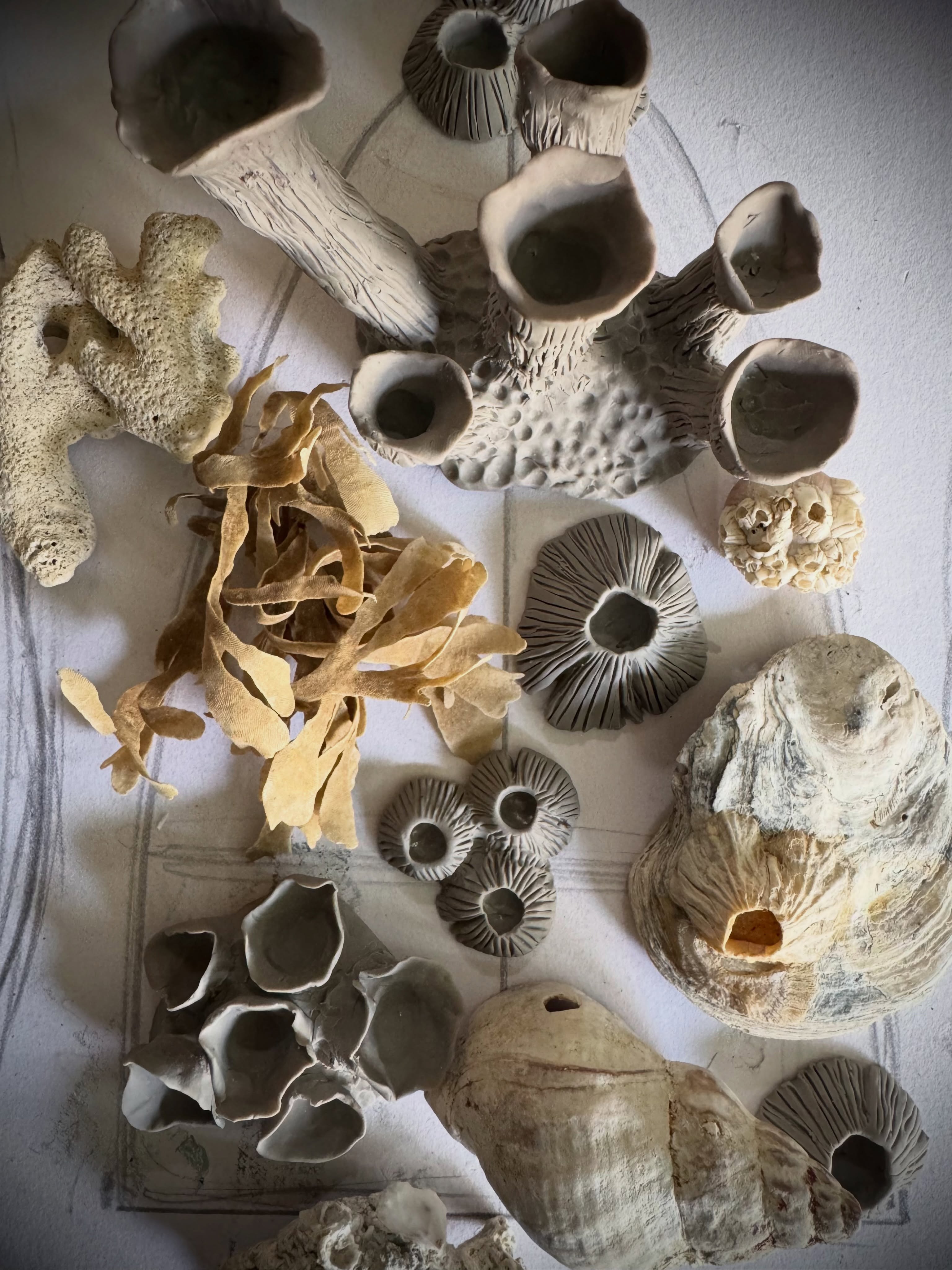I’ve been busy making these little barnacles for Sedna. 
.
.
.
.
.
#flotsam_fables #flotsam_fables_art #barnacles #wip