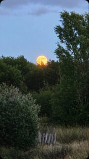 Full moon blessings dear ones 🌕 
.
.
.
.
.
#flotsam_fables #flotsam_fables_art #fullmoon