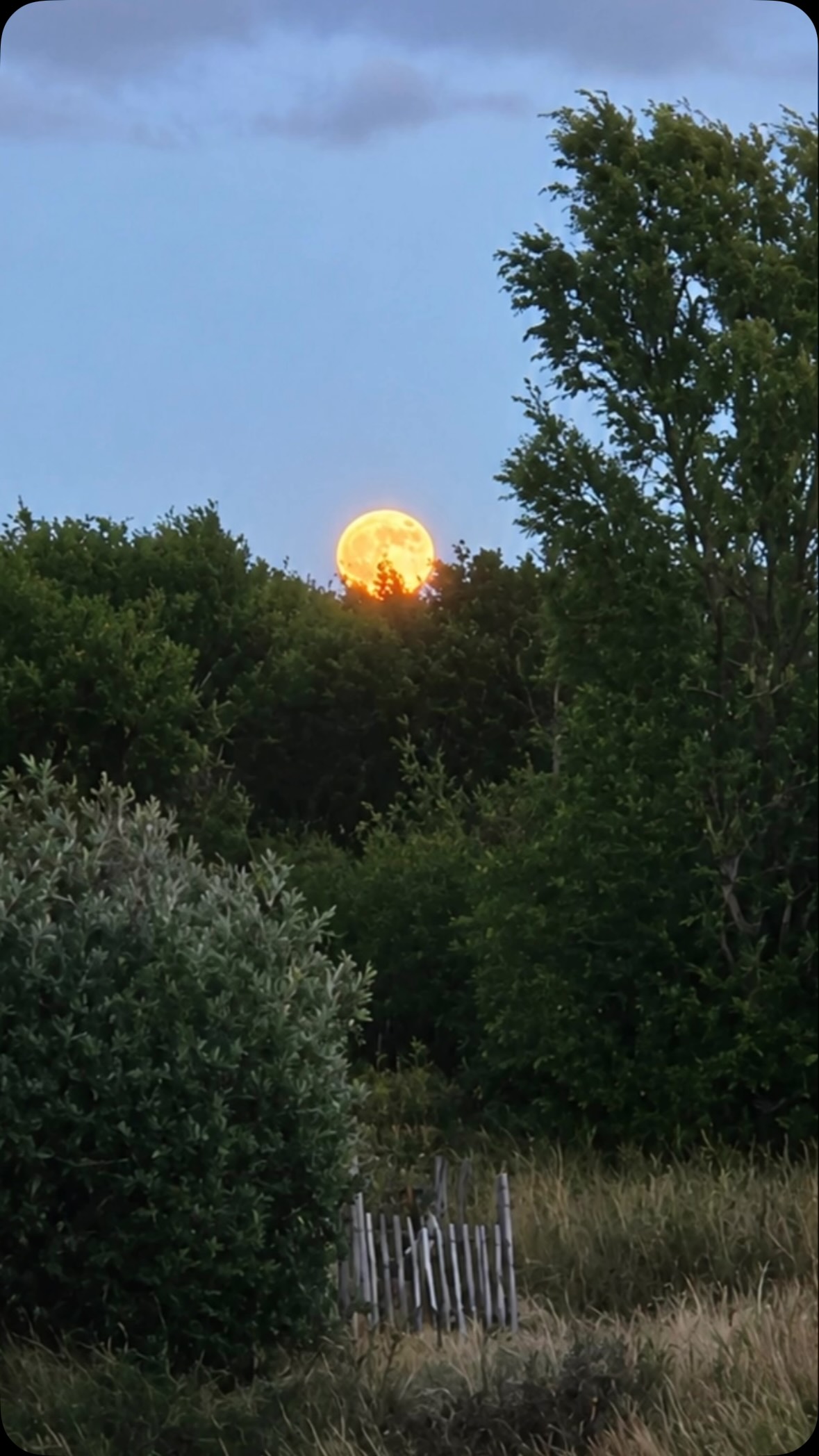Full moon blessings dear ones 🌕 
.
.
.
.
.
#flotsam_fables #flotsam_fables_art #fullmoon