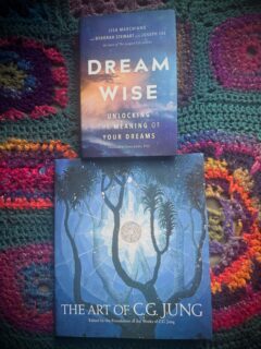 📚✨ I’m loving these books that I received for my birthday last month. I’ve been finding so much inspiration in the artwork, ideas, and psychology of Jung.

🌙 The themes of myth, dreams, symbols, transformation, and the hidden aspects of ourselves resonate deeply with me. 

🔑💭 I can’t wait to begin Dream School and see where the journey leads.
.
.
.
.
.
#flotsam_fables #flotsam_fables_art #inspiration #jung #dreamschool