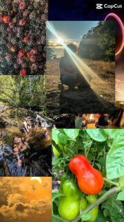 Ahh, September is here!

What a long, hot summer it’s been. Working through the heatwaves has certainly had its challenges, but I’ve loved the long days, moments in nature and those little pockets of connection and joy along the way.

Here are a few of my favourite moments from the summer…

What small moments have brought you joy this summer? 🌿✨ I’d love to hear what you’ve noticed, discovered or collected along the way.
.
.
.
.
.
#flotsam_fables #flotsam_fables_art