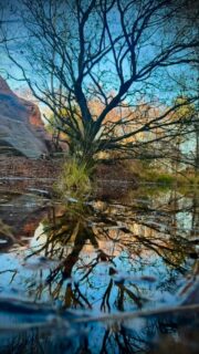 Dear wild ones 🌿✨ as we move toward the longest day, it really does feel like we’ve been in these dark days for a long while. I’ve been trying to meet this shadow time with presence and softness, responding to the cycle with flow rather than force.

It hasn’t always been easy. Trusting that what needs to be done will happen, even as I allow myself a slower pace, has felt like a practice in itself.

Last week, after meeting with a good friend and feeling aligned with synchronicity, I let myself wander into an antique barn instead of rushing home as I usually would. Inside were some real treasures waiting to be found, including the strangest little wooden feet and a beautiful antique birdcage, already whispering of future sculptures and stories 🕯️🐦

#shadowseason #wintertide #slowmaking #artistjourney #synchronicity #foundobjects #antiquefinds #mythiclife #wildsouls #flotsam_fables