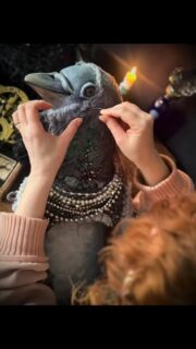 Happy new moon 🌚 A time for beginnings and plans. I’ve been busy making this pigeon wall piece, the second form a series of three that I’m planning to create, a crow, a pigeon and an owl. I’m not sure what to call them, any suggestions for names? 
.
.
.
.
.
#flotsam_fables #pigeon #triptych