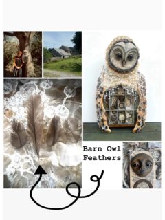 Recently I stayed in a cottage with a resident barn owl living in the roof space. I was lucky enough to catch a glimpse of her as she slipped silently out to hunt for food. Watching her emerge into the evening light felt like a small gift.

I found these delicate feathers in the barn beside the cottage, where she flew in and out tending to her chicks. Holding them in my hand, I was reminded of how closely our lives can brush against the wild world without us even noticing.

Barn owls have long been associated with wisdom, mystery, and the hidden realms between light and darkness. Encounters like this feel like a gentle invitation to pay closer attention to the wonders that share our landscape.

Have you ever had an unexpected wildlife encounter that stayed with you?
.
.
.
.
.
#flotsam_fables #flotsam_fables_art #owlart #barnowl